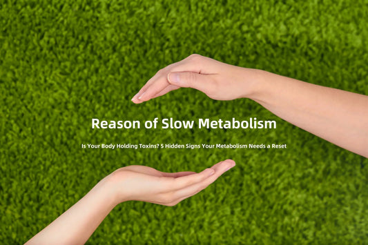 Reason of Slow Metabolism
