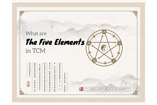 The Five Elements - How Ancient Wisdom Interprets Your Body and Life