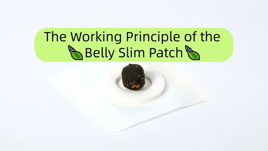 The Working Principle of the Belly Slim Patch