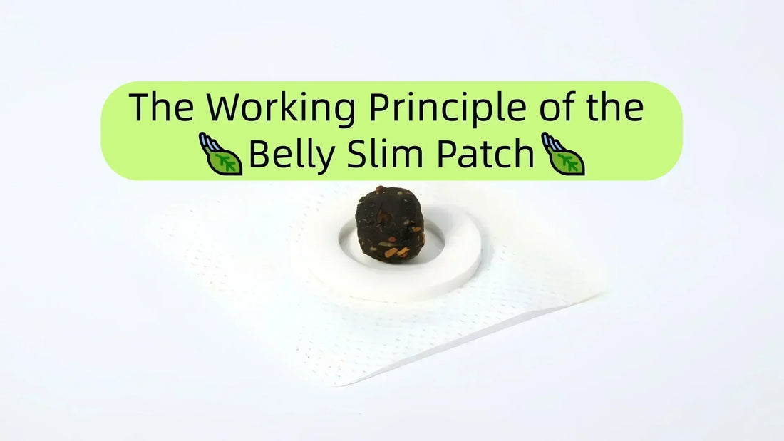 The Working Principle of the Belly Slim Patch