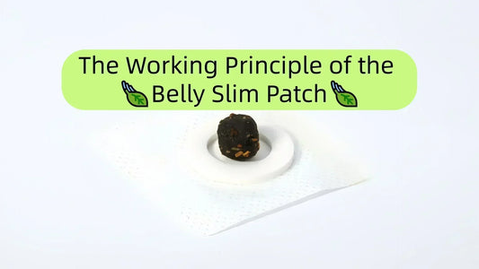 The Working Principle of the Belly Slim Patch