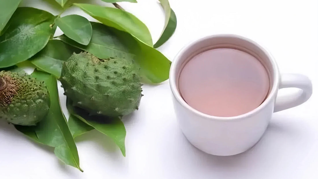10 Incredible Health Benefits of Graviola Leaves Tea and Its Potential Side Effects