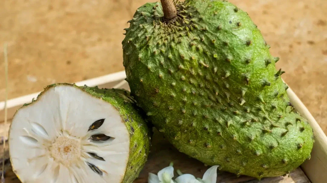 15 Science Backed Health Advantages of Soursop Tea Leaves