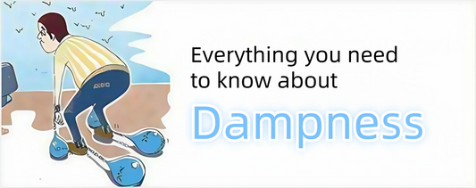 Everything you need to know about Dampness