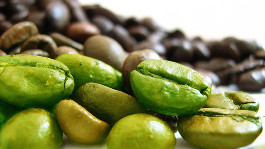 Green Slim Coffee Introduction Comprehensive Guide