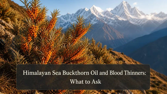Himalayan Sea Buckthorn Oil and Blood Thinners: What to Ask