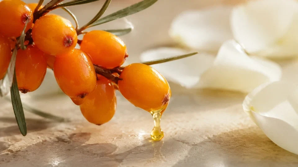 How Sea Buckthorn Capsules Ease Cellular Dryness