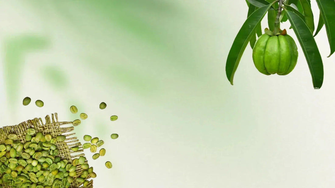 Is garcinia slim & green coffee extract legit