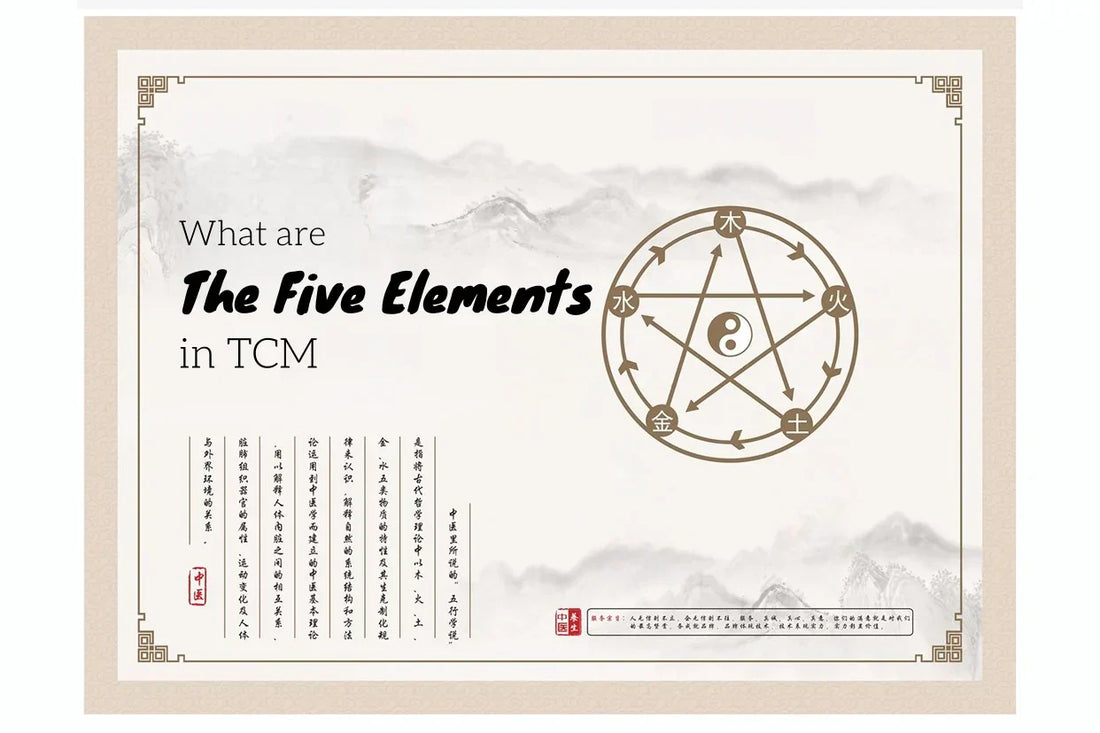 The Five Elements - How Ancient Wisdom Interprets Your Body and Life