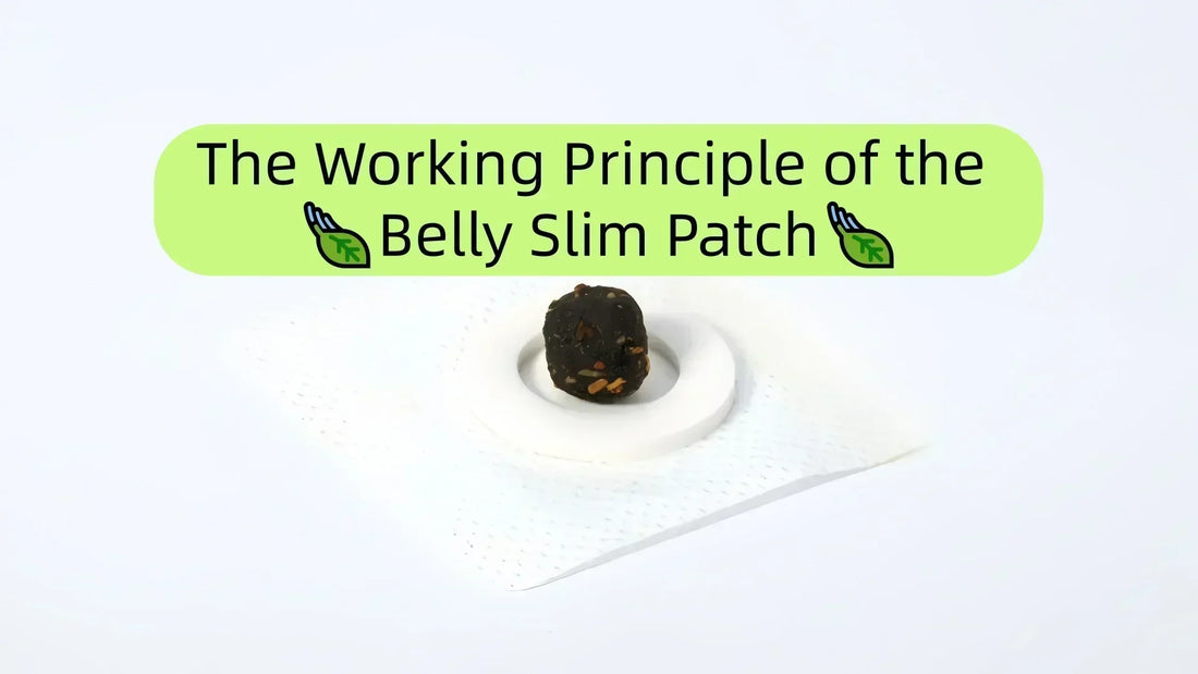 The Working Principle of the Belly Slim Patch
