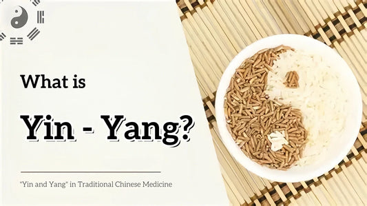 What is Yin and Yang