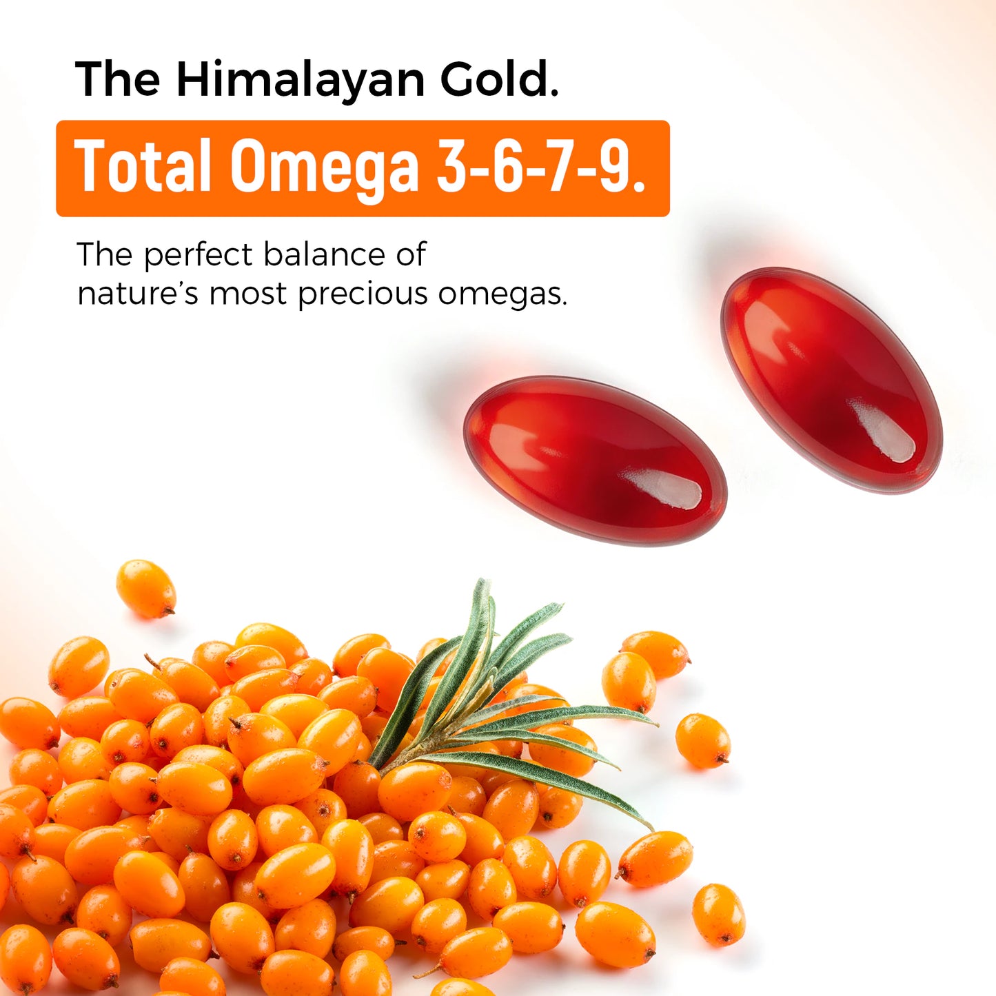 Himalayan Sea Buckthorn Oil is rich in Omega-3, 6, 7, and 9