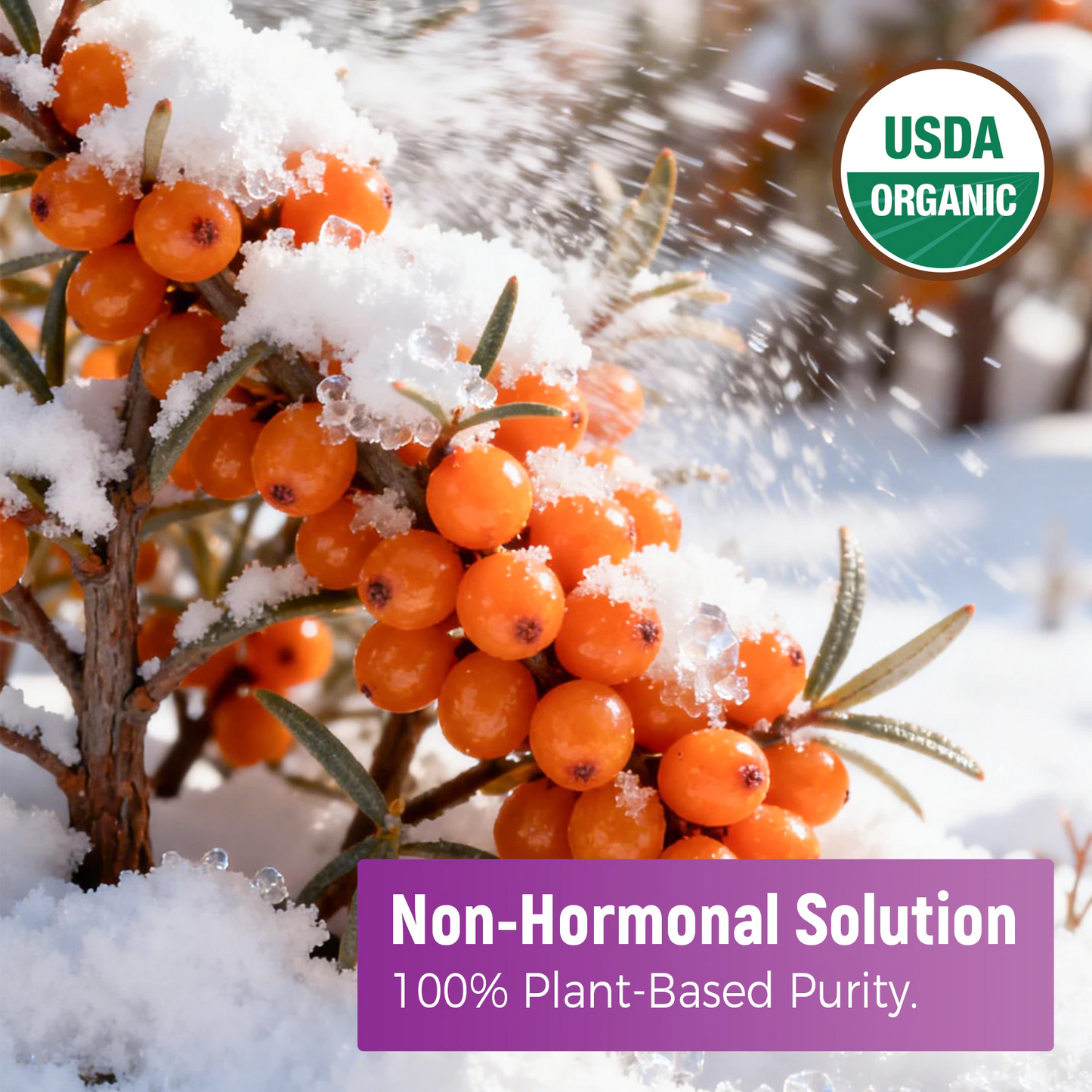 The plant-based moisturizer sea buckthorn oil