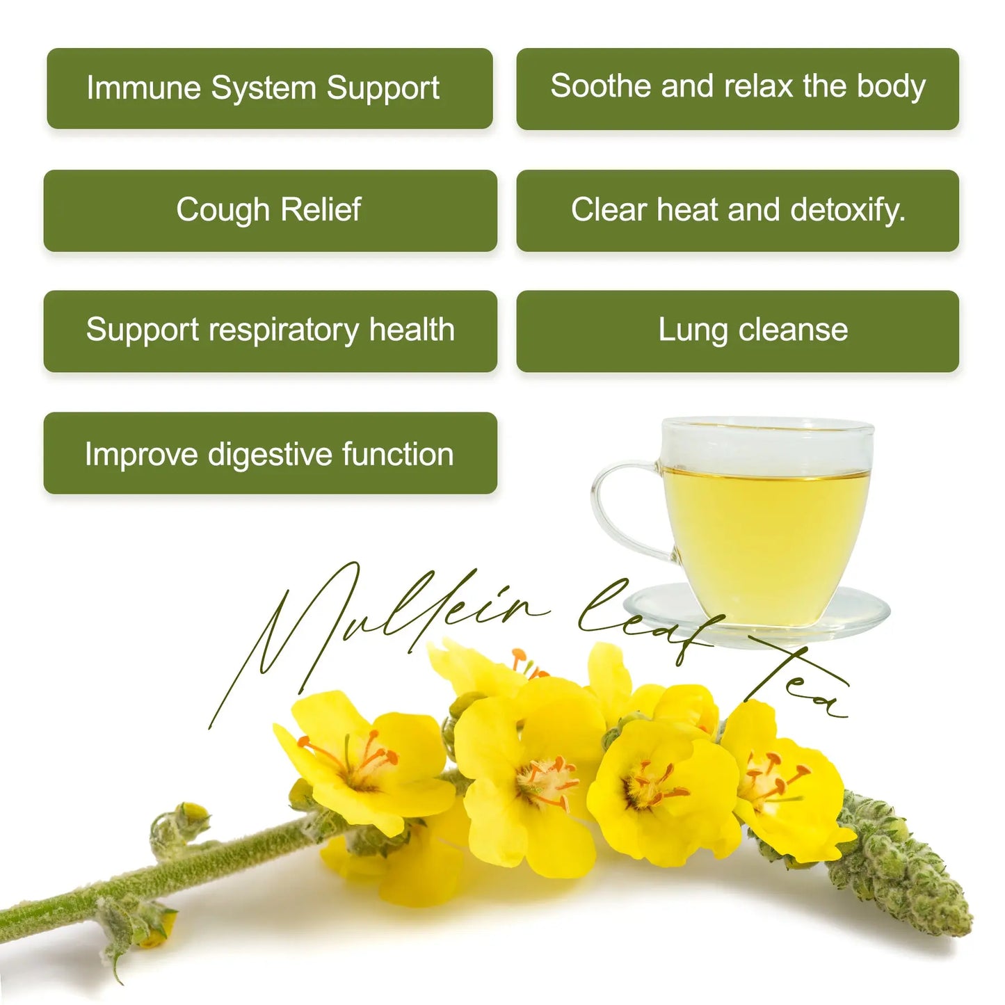 Hiherbs Organic Mullein Tea Bags for Lungs, 20 Mullein Tea Bags, Lung Detox Hiherbs