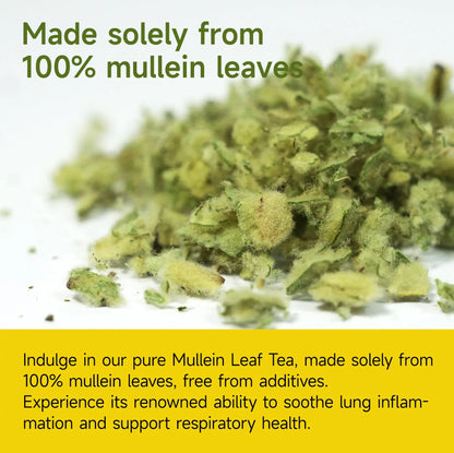 Hiherbs Organic Mullein Tea Bags for Lungs, 20 Mullein Tea Bags, Lung Detox Hiherbs