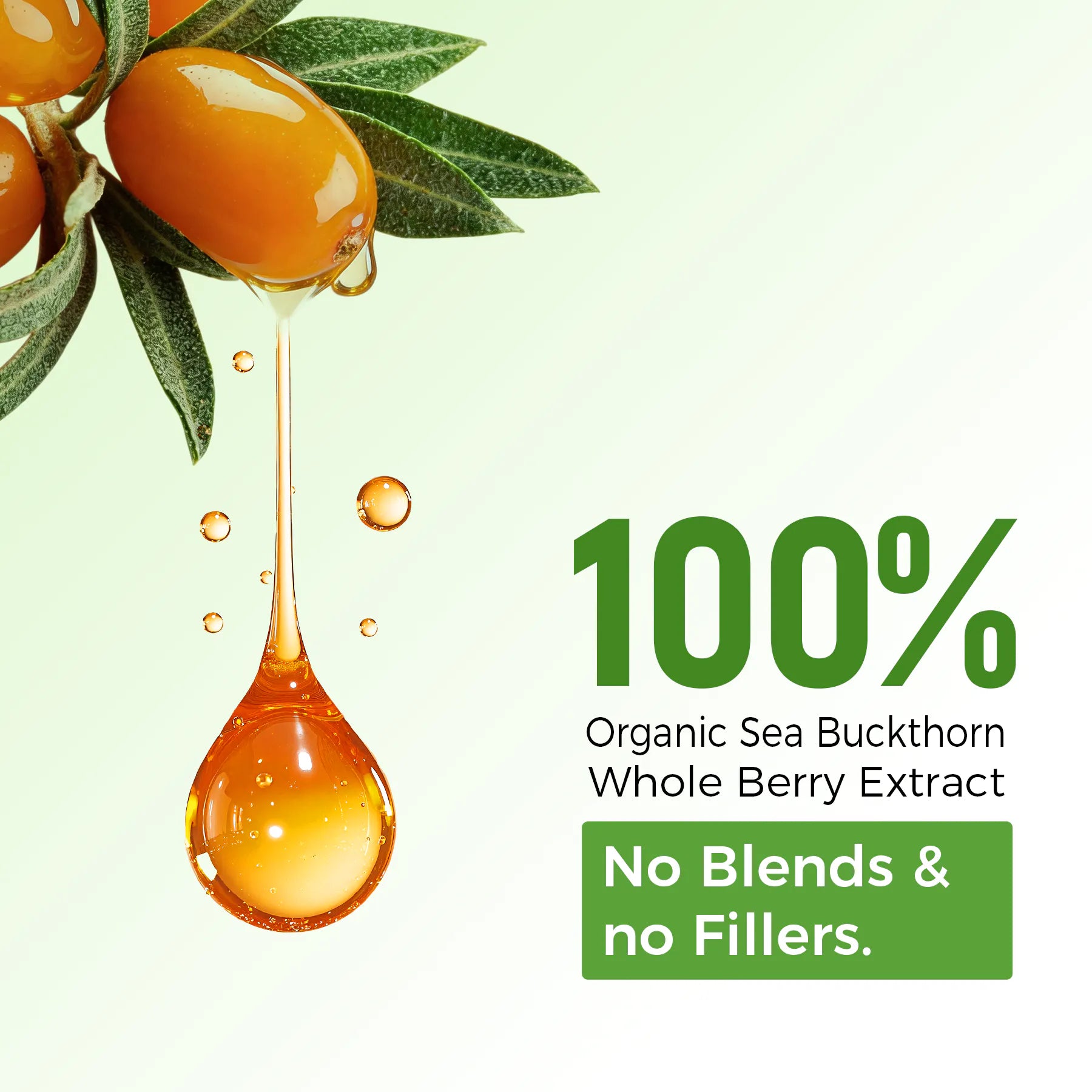 Omega 7 sea buckthorn oil capsules is extracted from the whole fruit