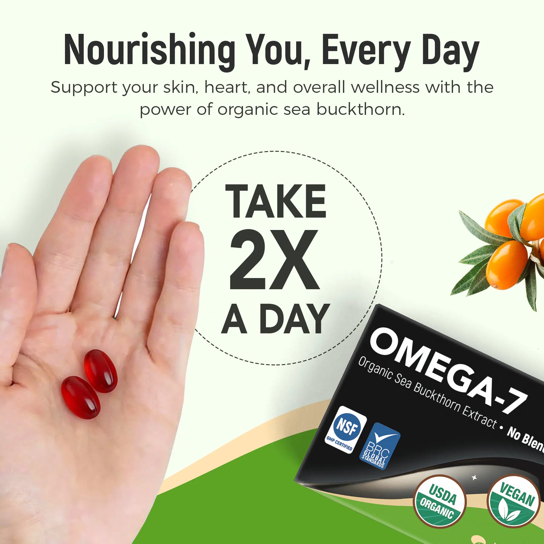 Omega 7 sea buckthorn oil capsules is recommended to be taken 2 capsules per day
